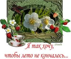 Без названия (15).webp