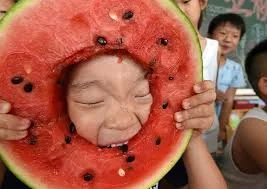 Без названия (16).webp