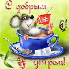 Без названия (16).webp