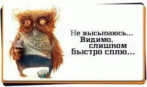 Без названия (16).webp