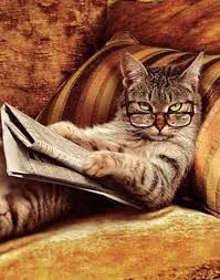 Без названия (16).webp