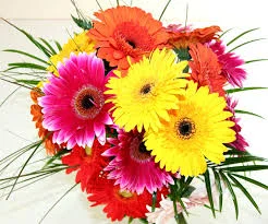 Без названия (17).webp