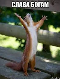 Без названия (18).webp