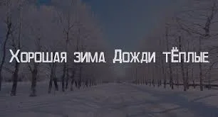 Без названия (18).webp