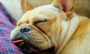 Без названия (19).webp