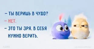 Без названия (19).webp