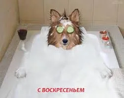 Без названия (19).webp