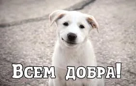 Без названия (2).webp