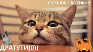 Без названия (2).webp