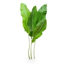 Без названия (2).webp