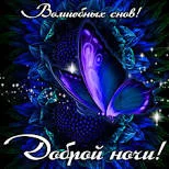 Без названия (2).webp