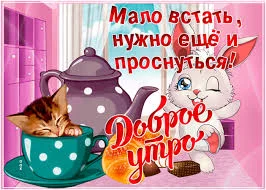 Без названия (2).webp