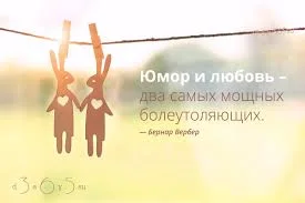 Без названия (2).webp