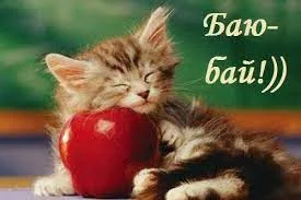 Без названия (2).webp