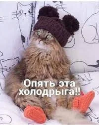 Без названия (2).webp