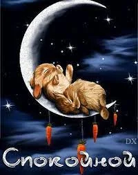 Без названия (2).webp