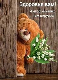 Без названия (2).webp