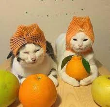 Без названия (2).webp