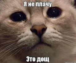 Без названия (2).webp