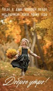 Без названия (2).webp