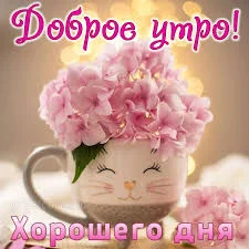 Без названия (2).webp