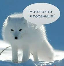 Без названия (2).webp