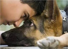 Без названия (2).webp