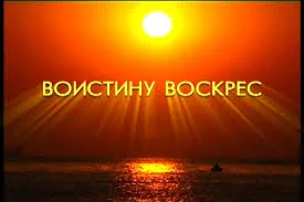 Без названия (2).webp