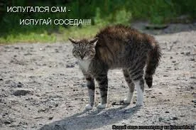 Без названия (2).webp