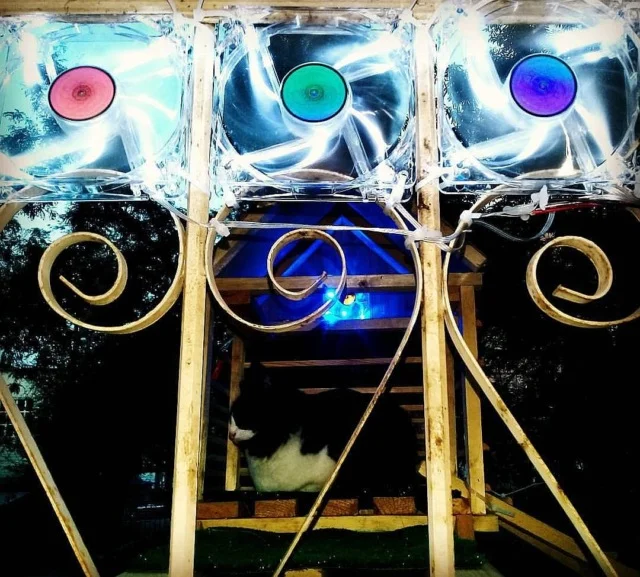 Без названия (2).webp