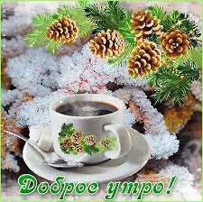 Без названия (2).webp