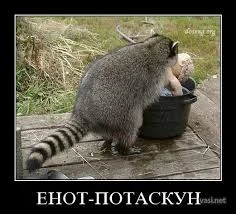 Без названия (2).webp