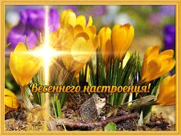Без названия (2).webp
