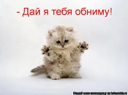 Без названия (2).webp