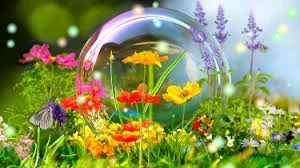 Без названия (2).webp