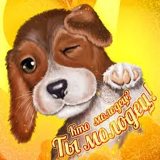 Без названия (2).webp