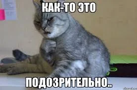 Без названия (2).webp