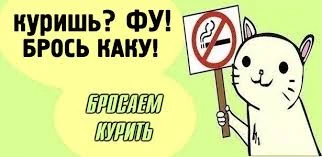 Без названия (2).webp