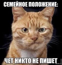 Без названия (2).webp