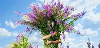 Без названия (2).webp