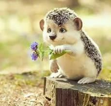 Без названия (2).webp