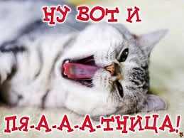 Без названия (2).webp