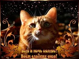 Без названия (2).webp