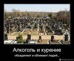 Без названия (2).webp