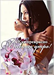 Без названия (2).webp