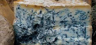 Без названия (2).webp