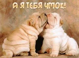 Без названия (2).webp