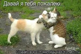 Без названия (20).webp