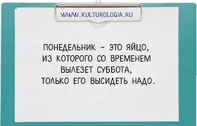 Без названия (20).webp