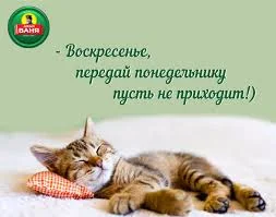Без названия (21).webp